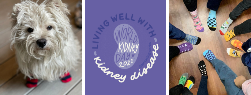 Photos from World Kidney Day 2021 and #SockItToKidneyDisease campaign