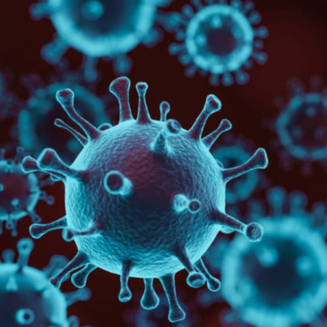 Bioengineered Protein May Prevent COVID Infections and Improve Survival