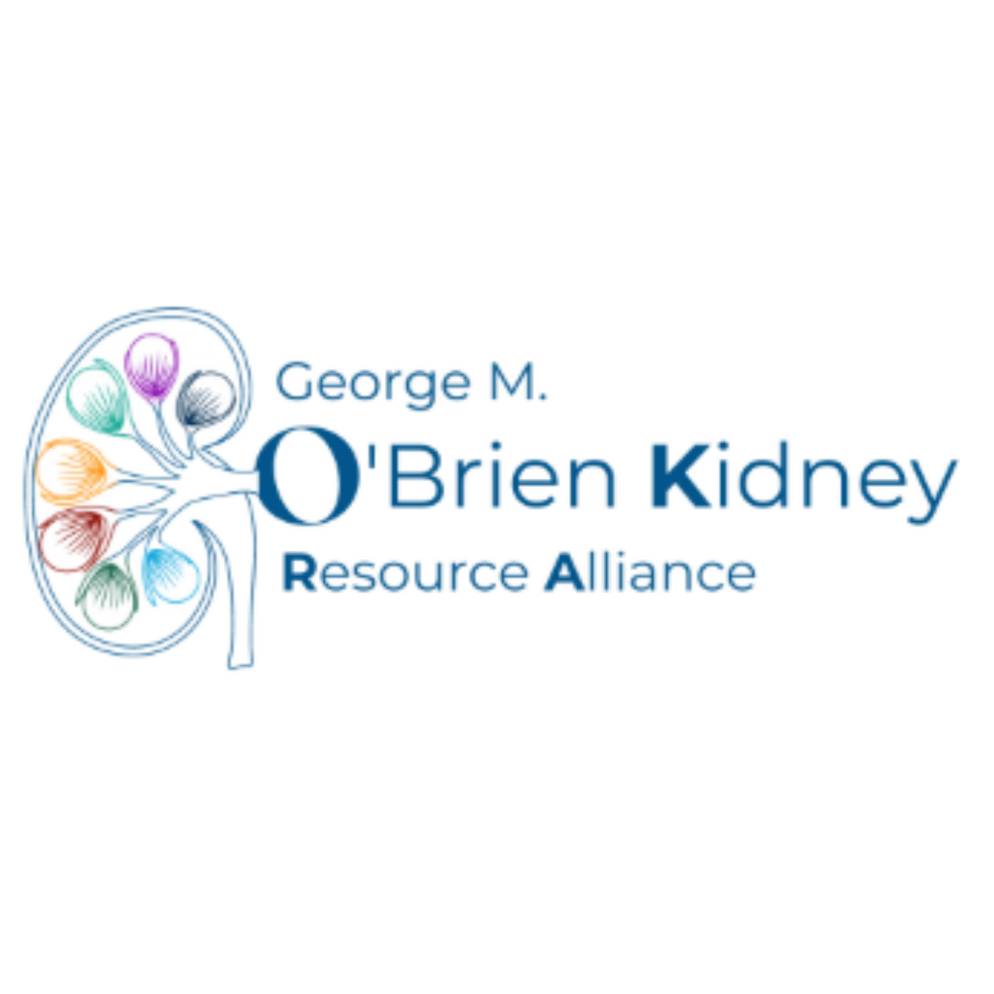 Attending ASN Kidney Week 2025? Apply for the OKRA Travel Award Today!