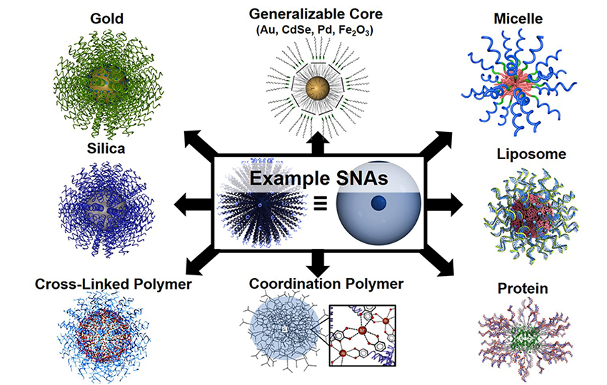 sna-structures.jpg